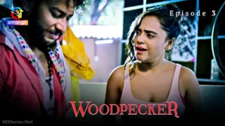 Woodpecker Episode 3